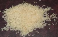 Manufacturers Exporters and Wholesale Suppliers of Creamy Sella Basmati Rice Mumbai Maharashtra